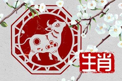 属牛今年多大年纪(2024年属牛今年多大年纪)