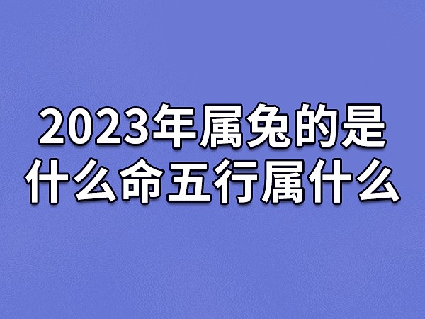 2010年是什么命(88年本命年2024运势)