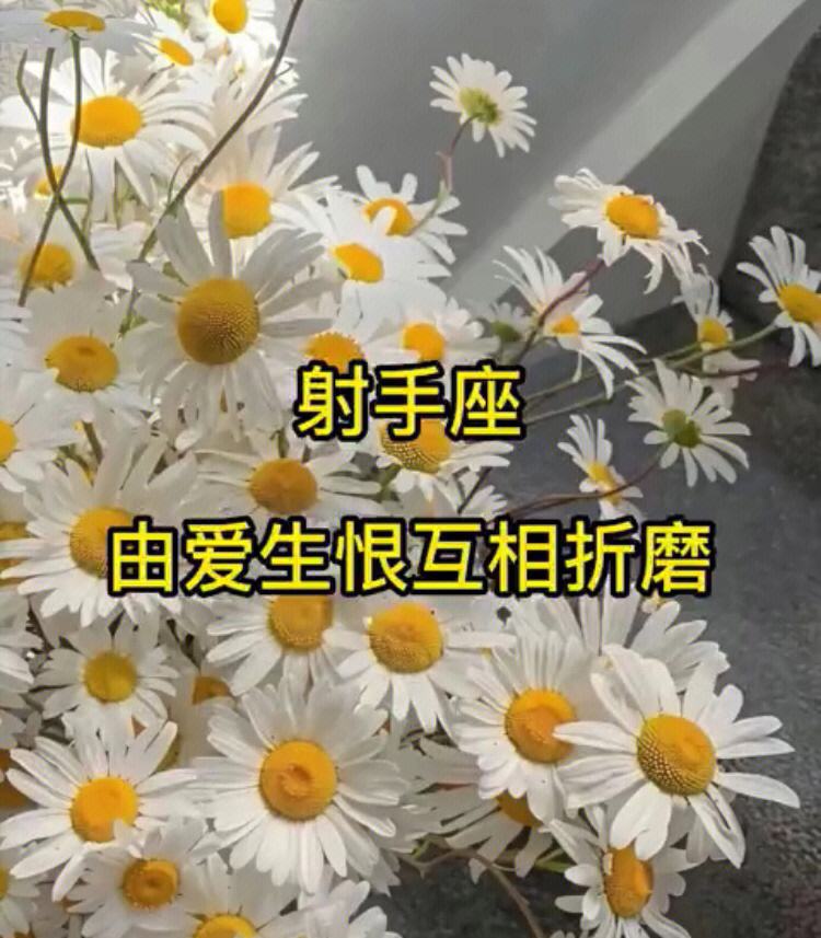 我恨射手座(我恨射手座排多少名)