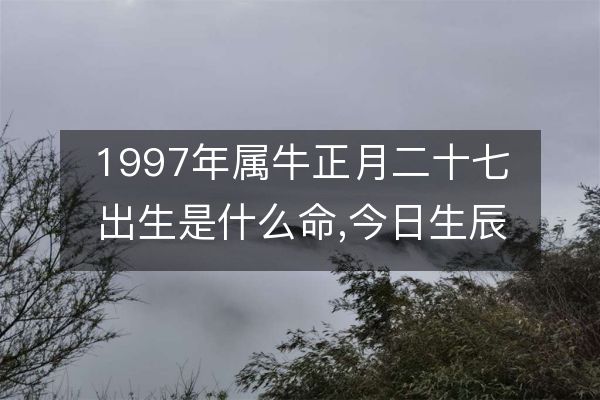 97年属于什么生肖年(97年属于什么生肖年多大了)