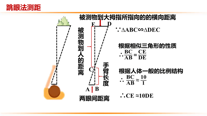 眼跳法(眼跳法911测吉凶)