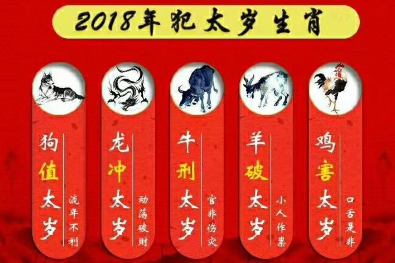 2010年是什么生肖年(2010是什么年生肖年份)