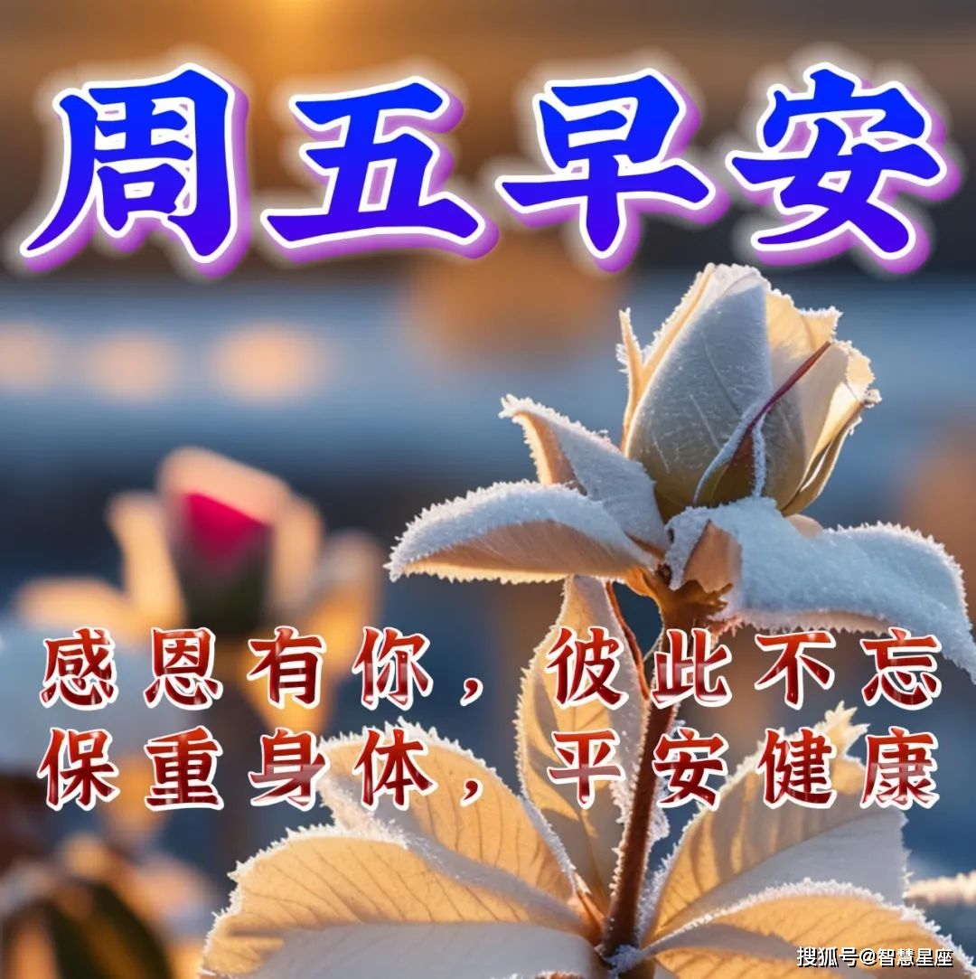 11月17日是什么星座(身份证上11月17日是什么星座)