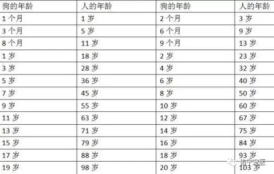 属狗今年多大年纪(属狗今年多大年纪2024年)