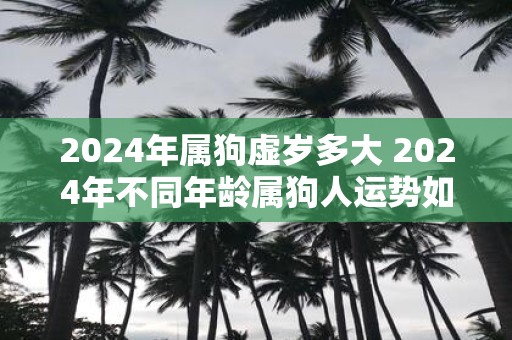 2024年是属什么年(2024年是属什么年金木水火土)