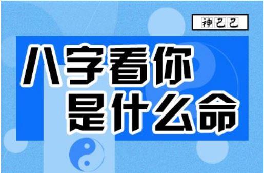 八字专业测试(最准的八字测试免费测试)