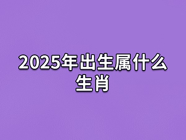 2025什么生肖(2025什么生肖本命年)