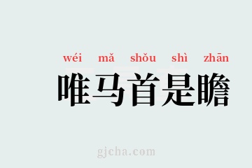 堂内之马是什么意思(堂内之马是什么意思命好不好)