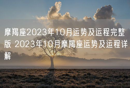 星座运势摩羯座2023年5月月运(摩羯座2021年5月下旬运势)