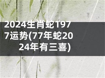 2024年运势查询八字(2024年运势及运程每月运程)