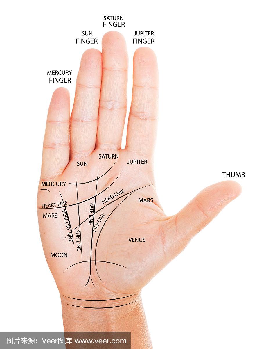 掌纹图解女右手详解(掌纹图解女右手详解川字纹)
