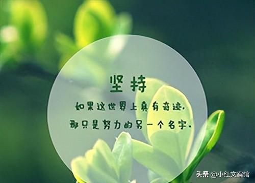 风水解惑文案句子简短励志语言短句(风水话语)