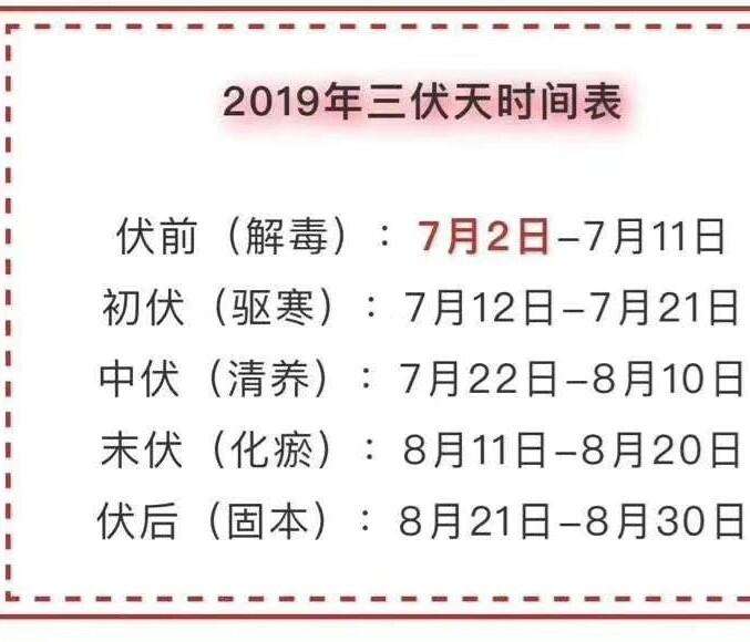 三伏天2019(三伏天2019从哪天开始)