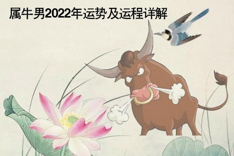 属牛2024年的运势及运程(2009属牛2024年的运势及运程)