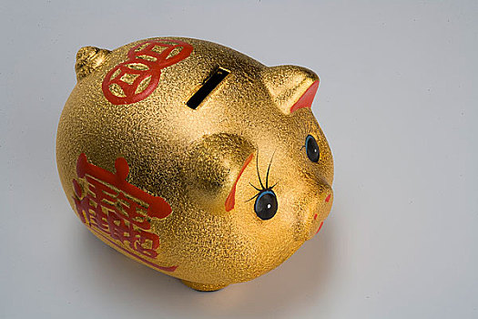 金猪(金猪是什么意思)