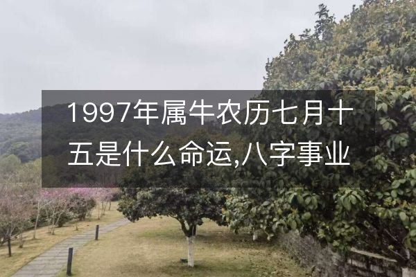 97年属于什么生肖年(97年属于什么生肖年本命年)