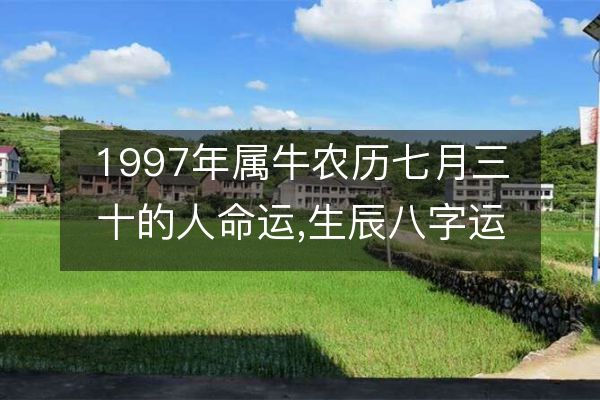 97年属于什么生肖年(97年属于什么生肖年本命年)