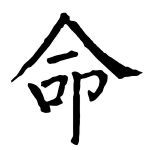 八字命(八字命盘软件)