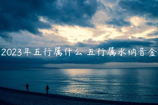 壬戌癸亥大海水(壬戌癸亥大海水五行吉凶综论)