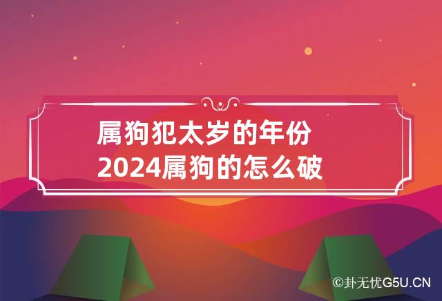 2024年属狗人将迎来天塌大事(2024年属狗人将迎来天塌大事看完你就明白了)