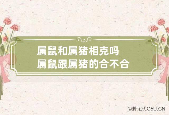 属猪的和什么属相最配、相克(属猪的和什么属相最配相克相冲的人)