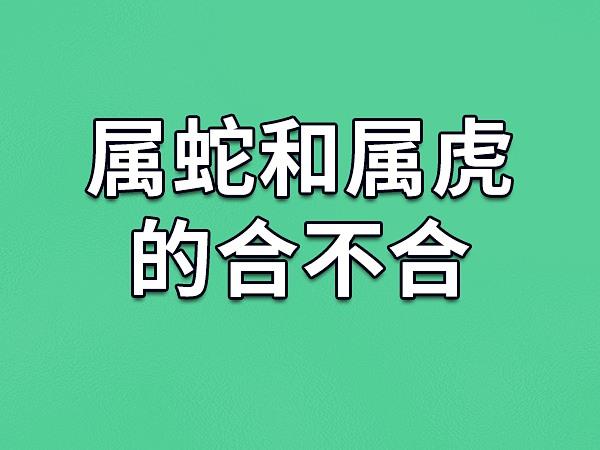 86年属什么的生肖(83年属什么的生肖)