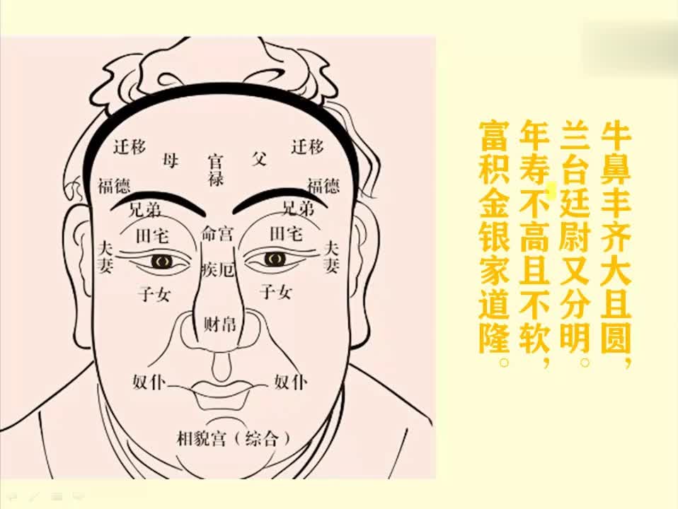 面相看性格(面相看性格,眼睛看人品)