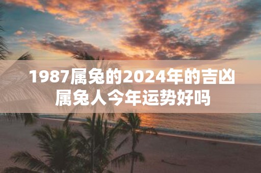 属兔2024年的运势及运程(属兔2024年的运势及运程每月运气)