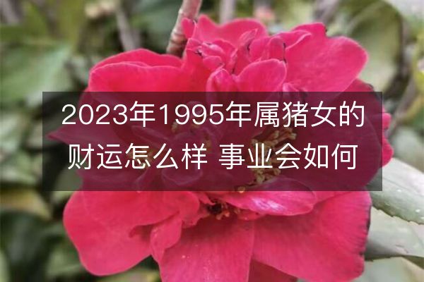 95年属什么的(95年属什么的生肖今年多大2023)