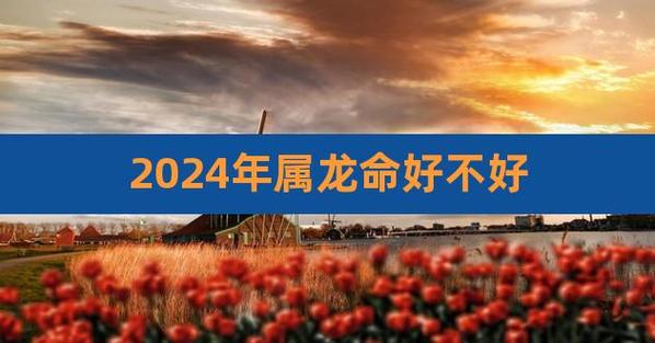 2024年属龙今年有一难(2024年属龙下半年要出大事)