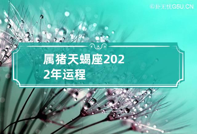 属猪2022年的运势(属猪 2022年运势)