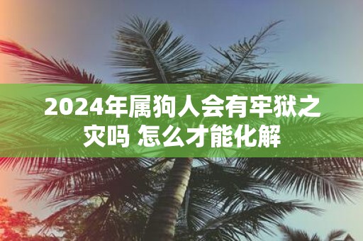 2024属狗要小心一个人(2024属狗要小心一个人属啥的)