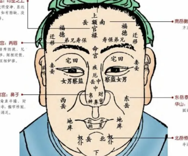 颧骨低面相(颧骨低面相图)