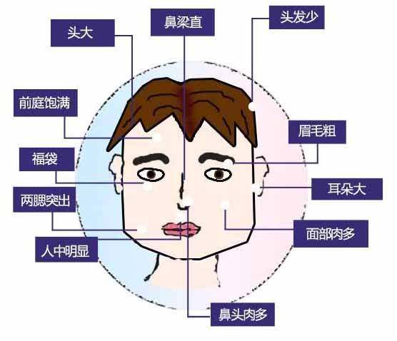 颧骨低面相(颧骨低面相图)