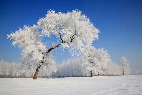 梦见下雪周公解梦(梦见下雪周公解梦大全查询)