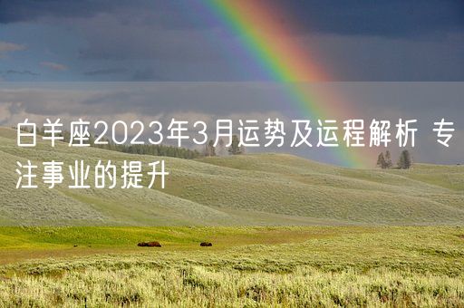 白羊座2023年星座运势详解(2023年白羊座太惨了)