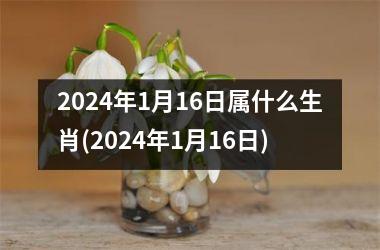 2024年是属什么年(明年2024年是属什么年)