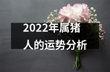 属猪2022年的运势(属猪2022年运势禾丰)