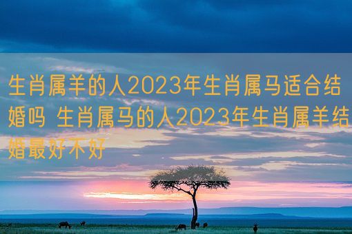 2023年属羊要出大事(2023年属羊要出大事男)