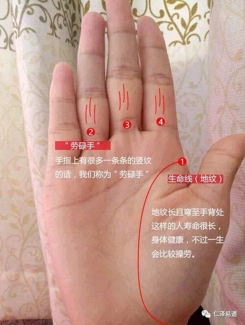 9种手纹的女人命好(9种手纹的女人命好图片)