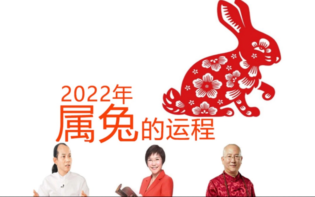 兔年运程(兔年运程2023年各生肖运程)