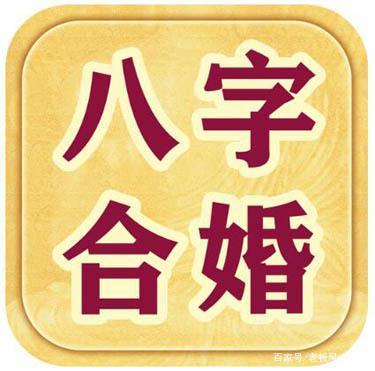 免费测八字合婚(免费测八字合婚网免费合八字男女算八字合婚)