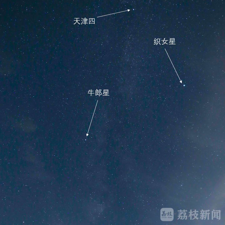 牛郎星是属于什么星座(牛郎星是属于什么星座的)