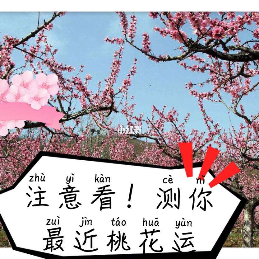 免费测试桃花运(免费测试桃花运出现时间易安居)