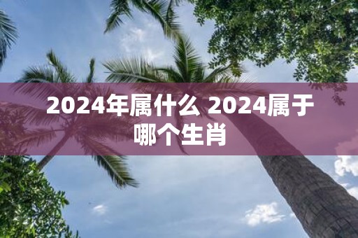 2024年哪些生肖运气好的(2024年运气最旺的三大生肖)