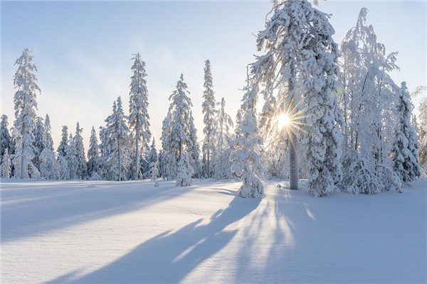 梦见下雪周公解梦(梦见下雪是什么意思周公解梦网)