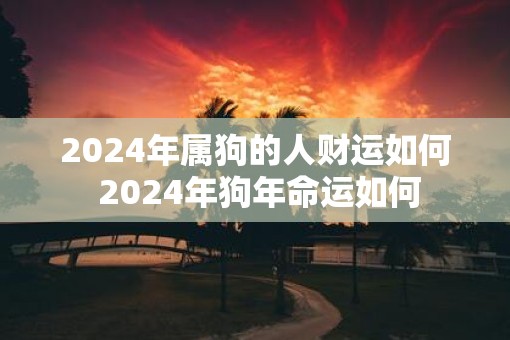 2024属狗要小心一个人(2024属狗要小心一个人1982数狗男的)