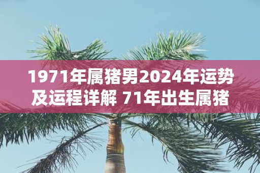 2024年运势详解完整版(2024年运势详解完整版属蛇)