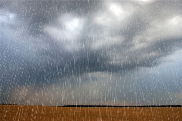 梦见被大雨淋湿(梦见被大雨淋湿是吉兆)