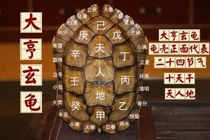 乌龟起名(乌龟起名字大全帅气)